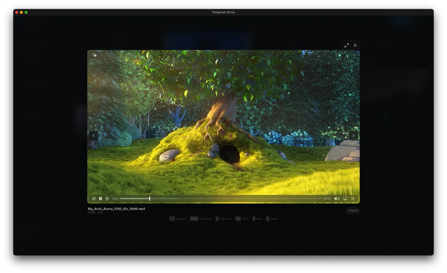 Video playing inside Telegram-Drive